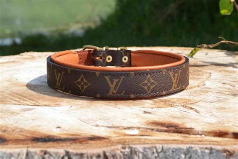 louis vuitton dog collar aliexpress